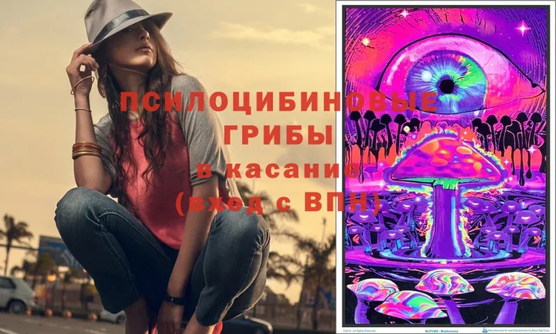 Псилоцибиновые грибы Magic Shrooms  Вельск 